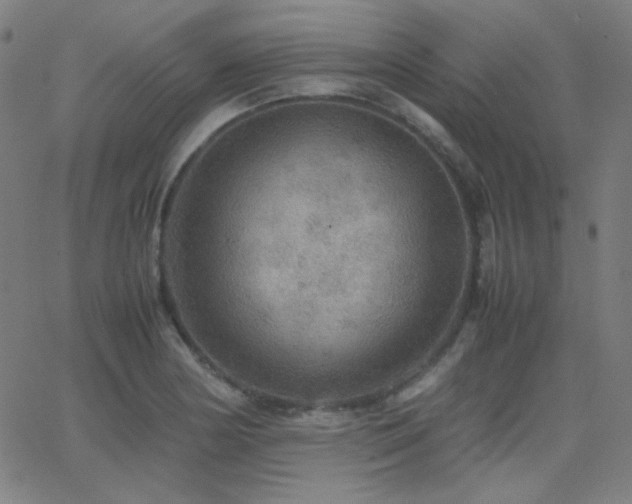 X0000062851178200601131342