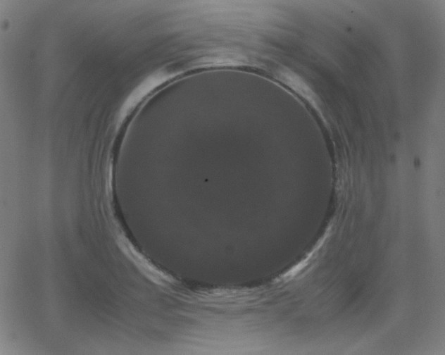 X0000062851179200601131342