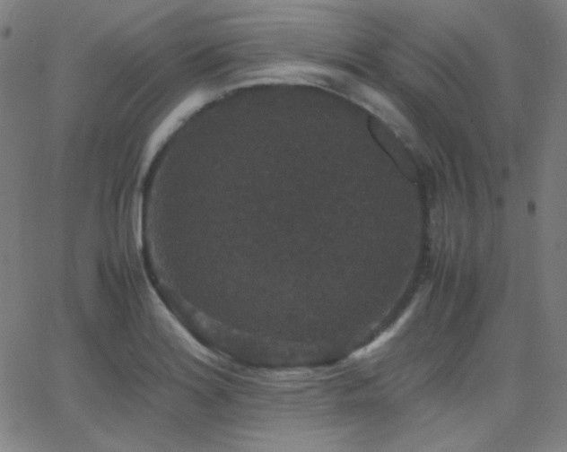 X0000062851180200601131342