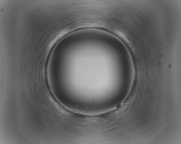 X0000062851181200601131342