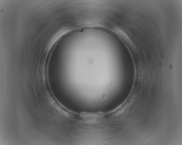 X0000062851182200601131342