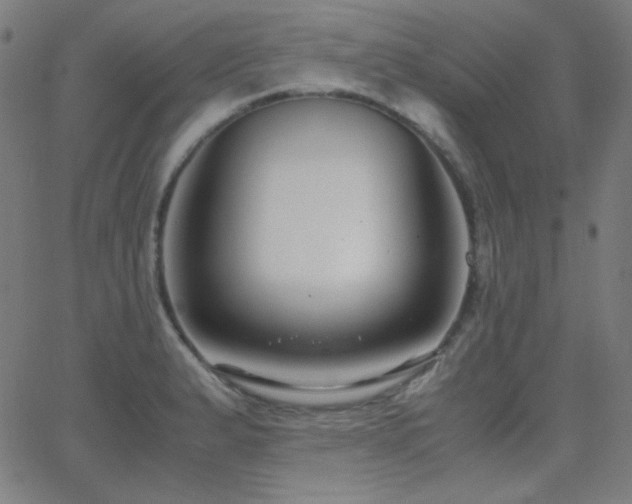 X0000062851183200601131342