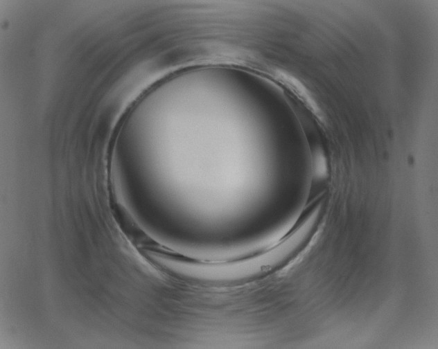 X0000062851184200601131342