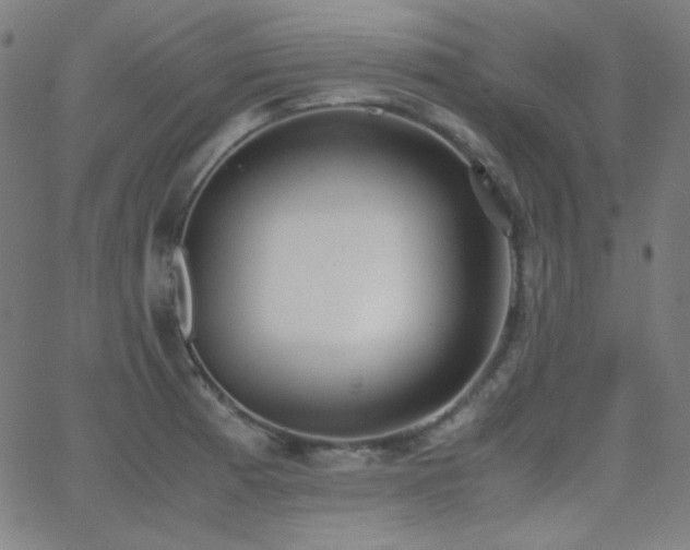 X0000062851185200601131342