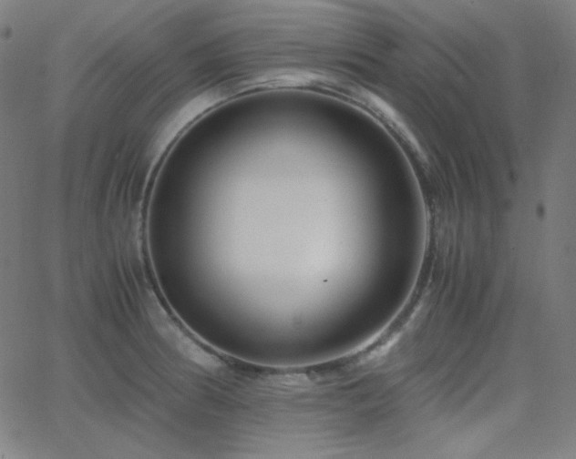 X0000062851186200601131342