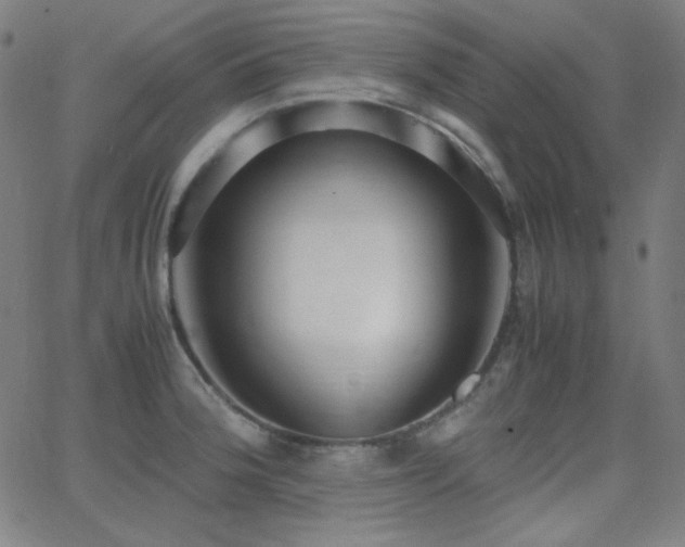 X0000062851188200601131342