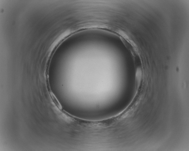 X0000062851189200601131342