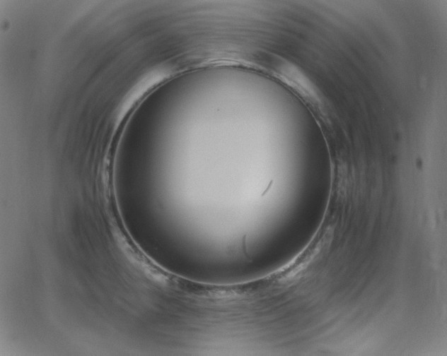 X0000062851190200601131342