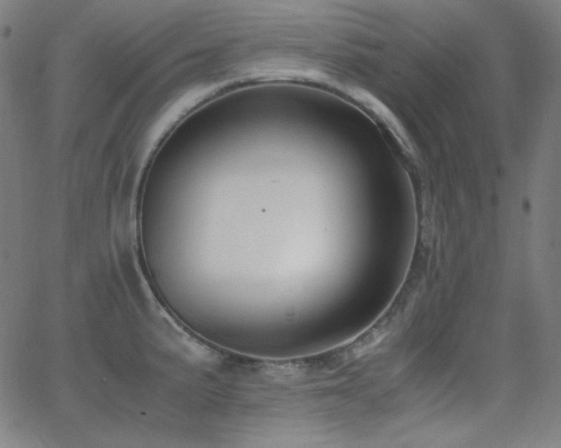 X0000062851191200601131342