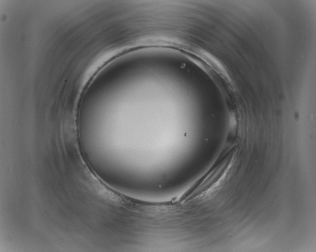 X0000062851192200601131342