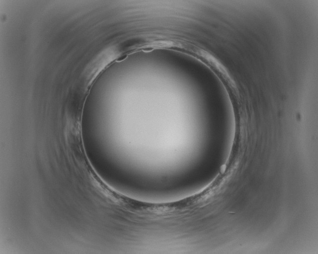 X0000062851193200601131341