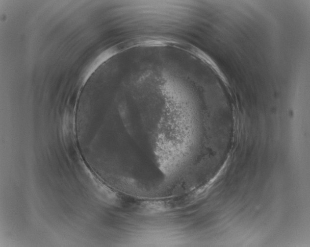 X0000062851194200601131341