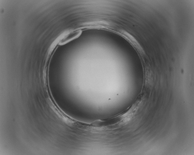 X0000062851196200601131341