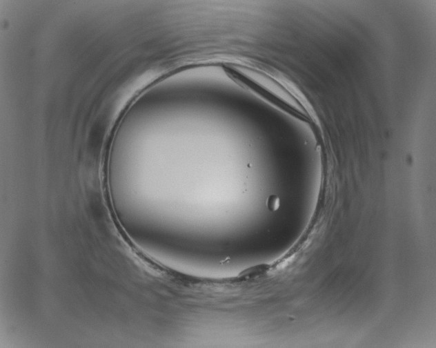 X0000062851197200601131341