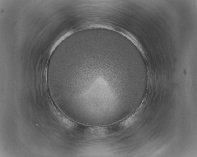 X0000062851198200601131341