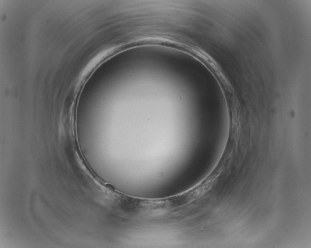 X0000062851199200601131341