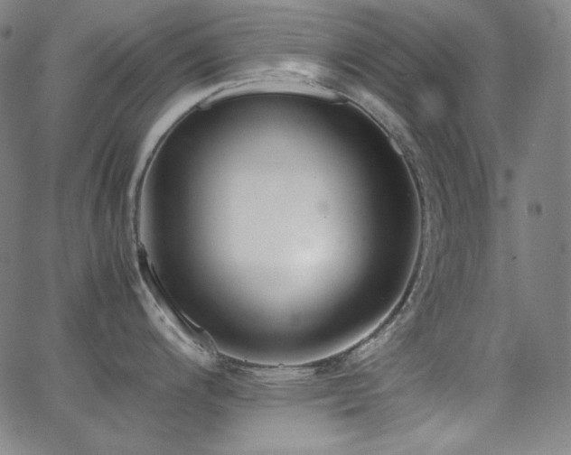 X0000062851200200601131341