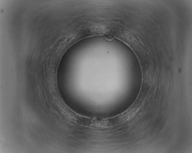 X0000062851201200601131341