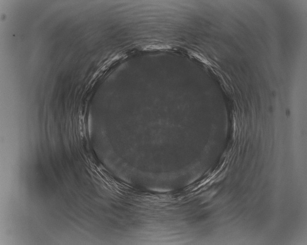 X0000062851202200601131341