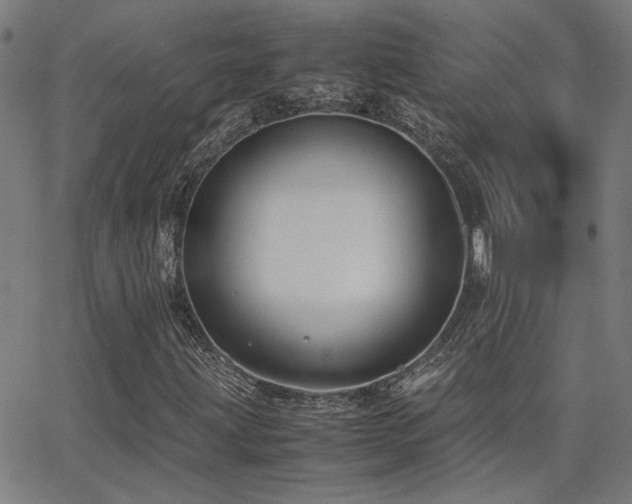 X0000062851203200601131341