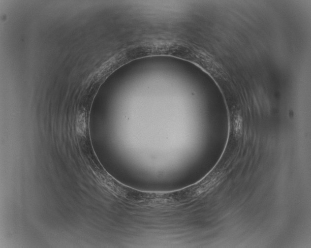 X0000062851204200601131341