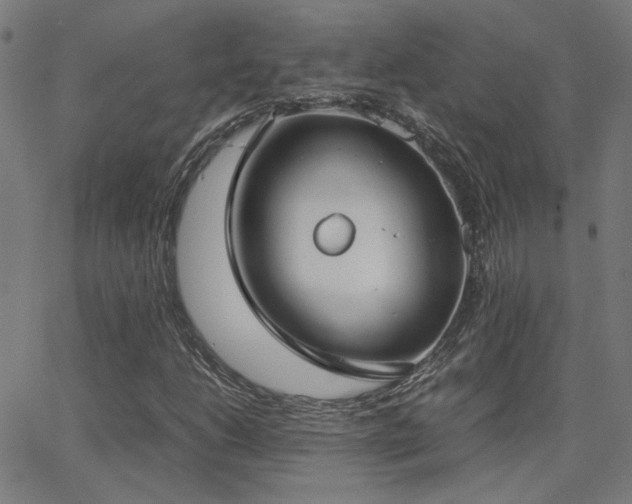 X0000062851206200601131341