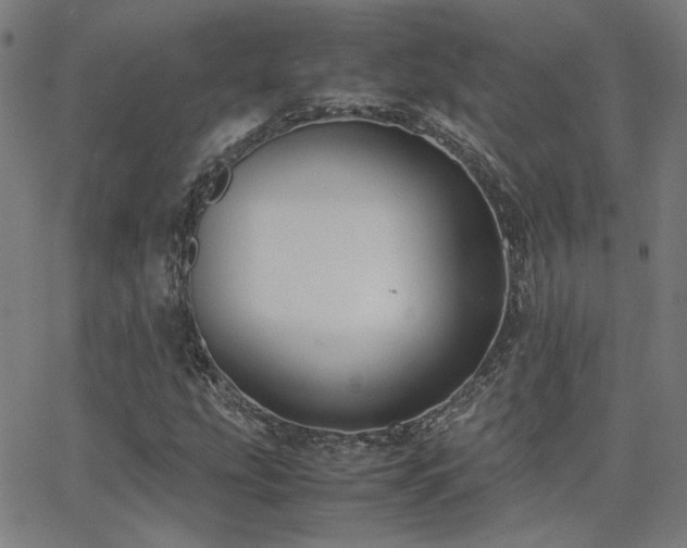 X0000062851207200601131341