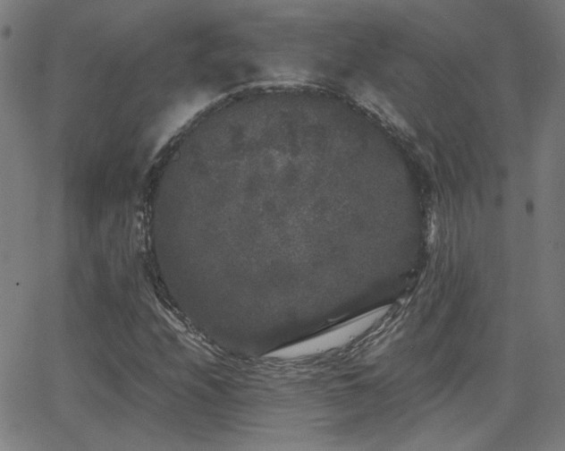 X0000062851208200601131341