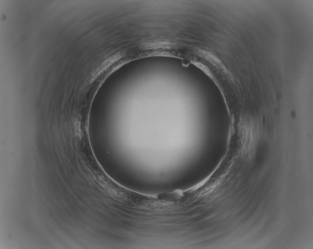 X0000062851209200601131341