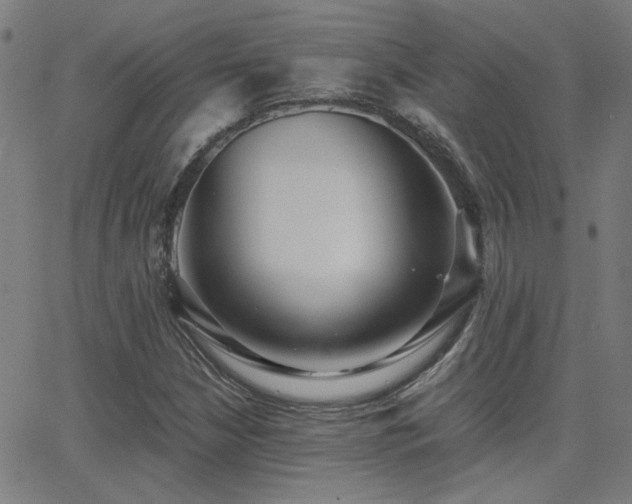 X0000062851210200601131341