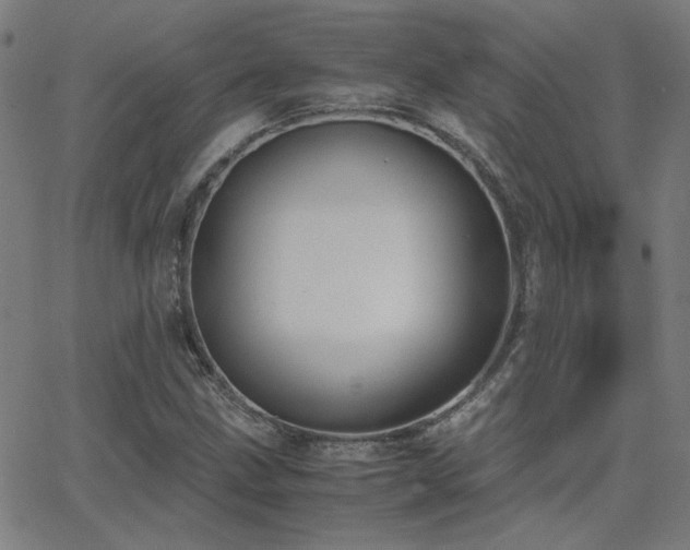 X0000062851211200601131341