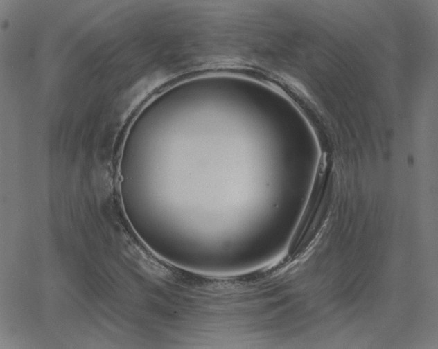 X0000062851212200601131341