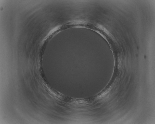 X0000062851213200601131341