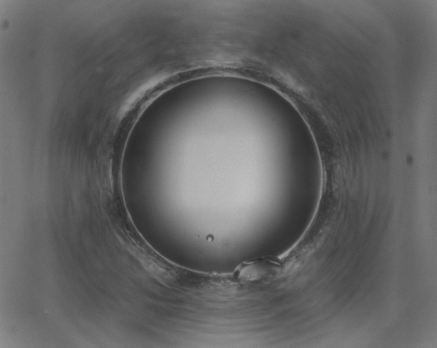 X0000062851214200601131341