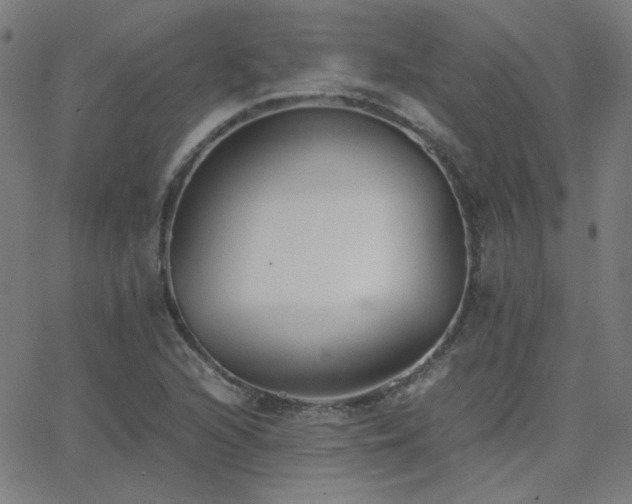 X0000062851216200601131341