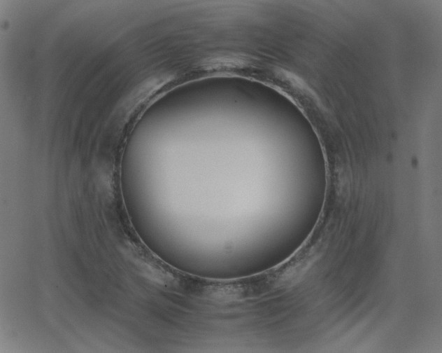 X0000062851217200601131341