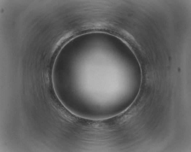 X0000062851218200601131341