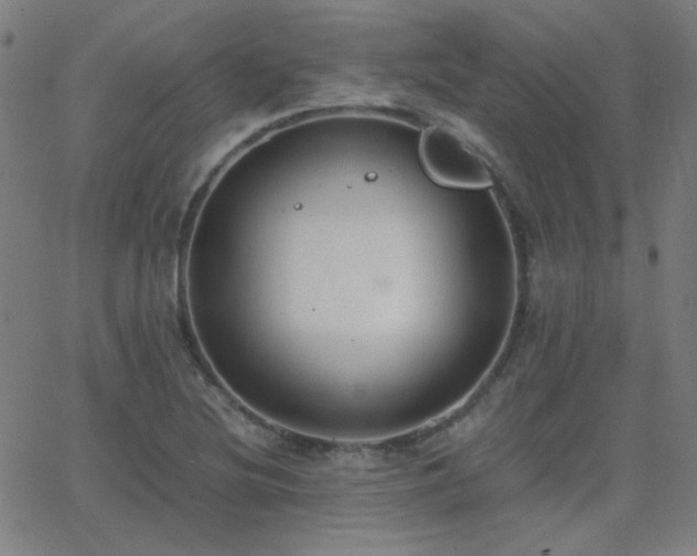 X0000062851220200601131341