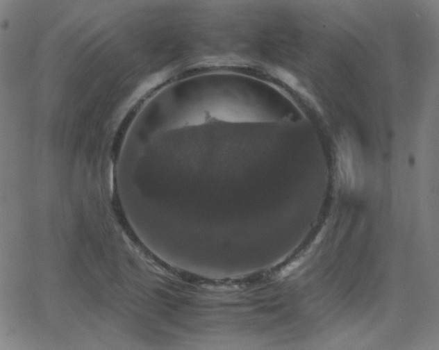 X0000062851221200601131341