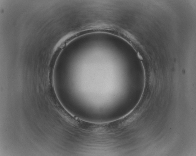 X0000062851222200601131341