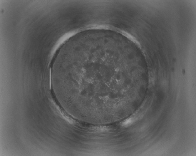 X0000062851223200601131341