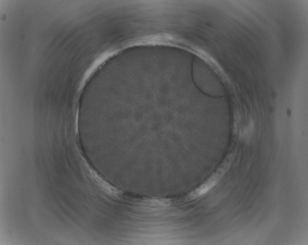 X0000062851224200601131341