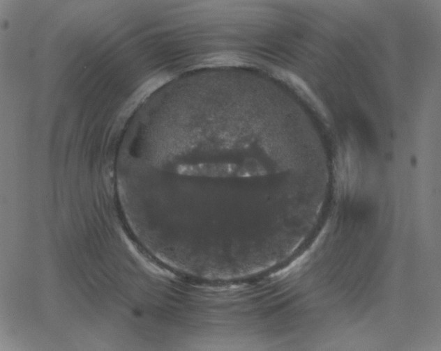 X0000062851225200601131341