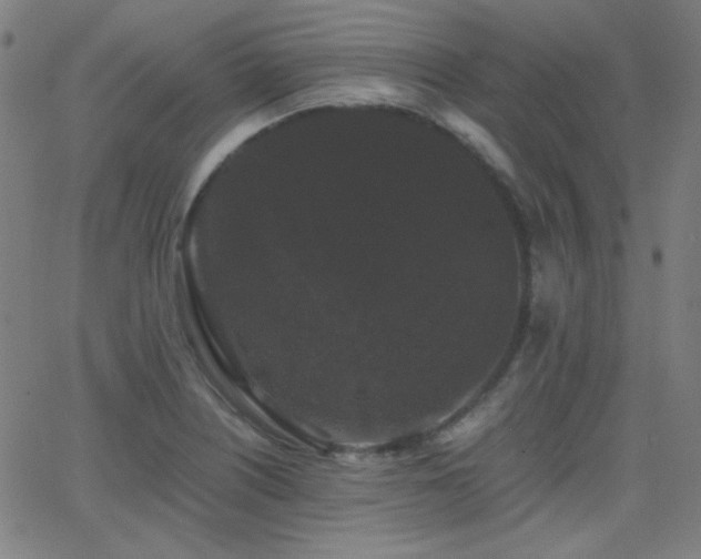 X0000062851226200601131341