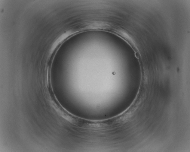 X0000062851227200601131341