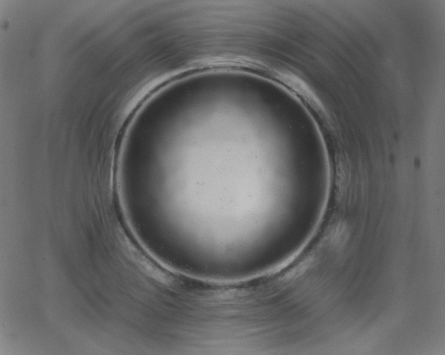 X0000062851228200601131341