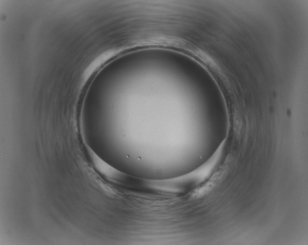 X0000062851230200601131341