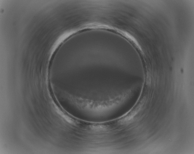 X0000062851231200601131341