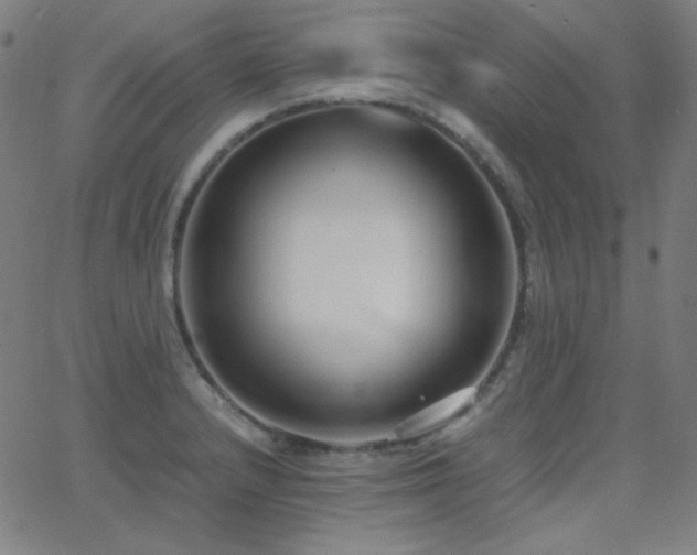 X0000062851232200601131341