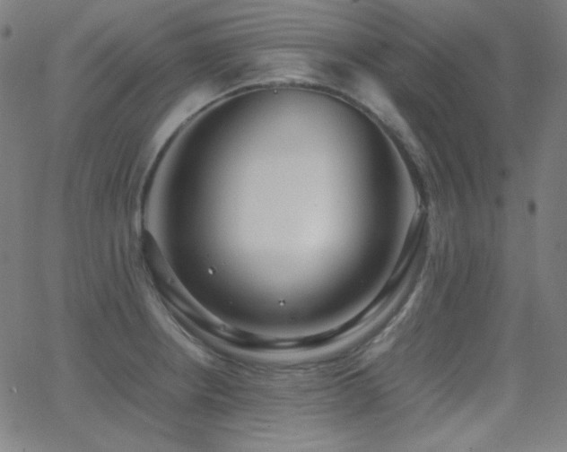 X0000062851234200601131341